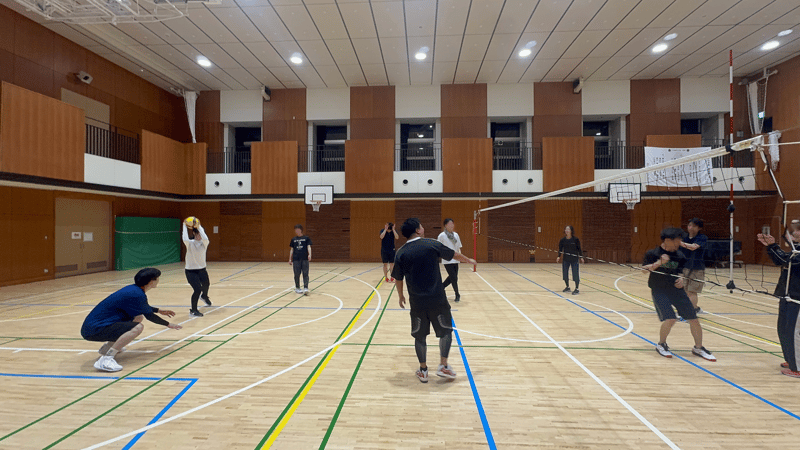 syvolleyball2