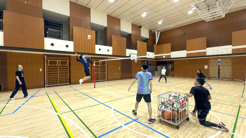 syvolleyball5